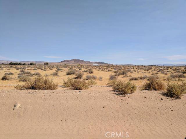 Hinkley, CA 92347,0 Petra