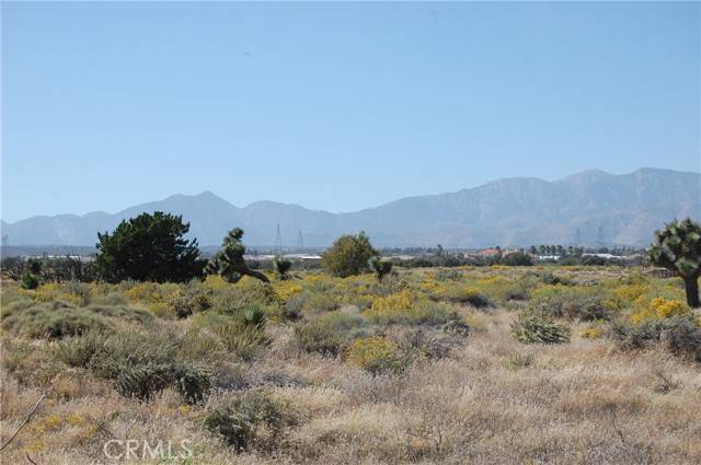 Phelan, CA 92371,0 Baldy Mesa