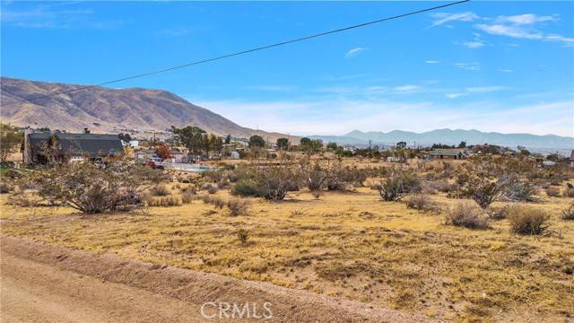 Apple Valley, CA 92308,9976 Cerra Viata