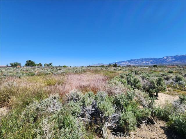 Lucerne Valley, CA 92356,1 Near Sunset