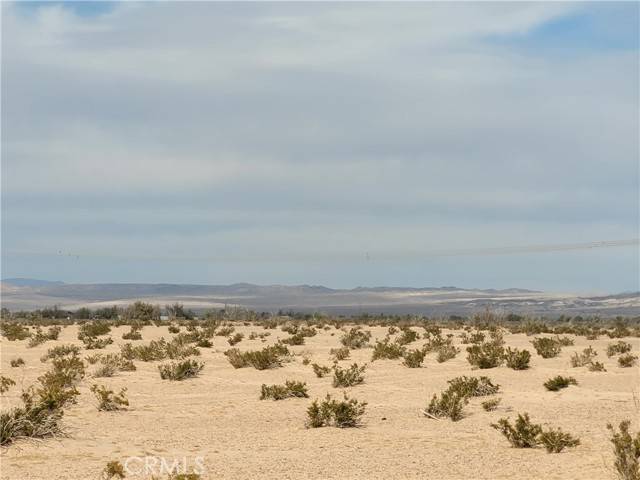 Yermo, CA 92398,0 Camelot