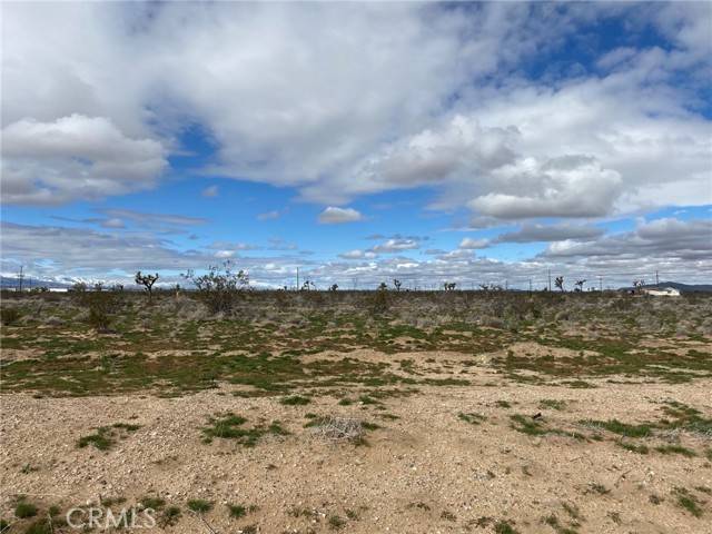 Adelanto, CA 92301,0 Bellflower