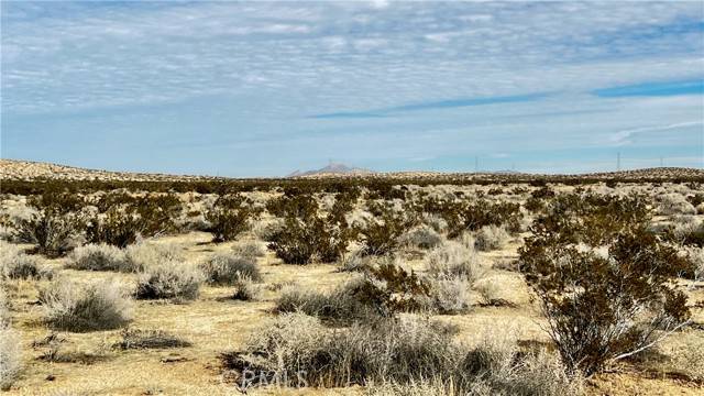 Kramer Junction, CA 93516,0 Balsamo