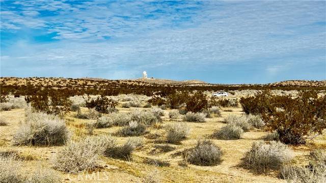 Kramer Junction, CA 93516,0 Balsamo