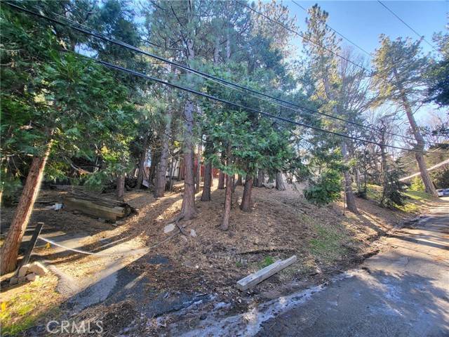 Crestline, CA 92325,0 Scenic View 0340-282-11