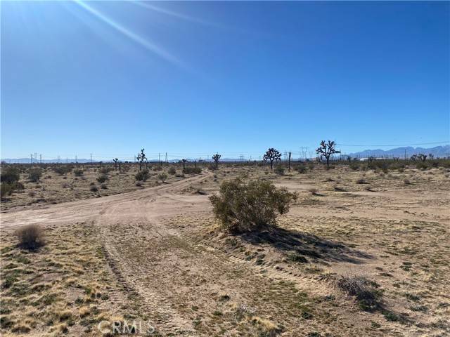 Adelanto, CA 92301,0 Hibiscus