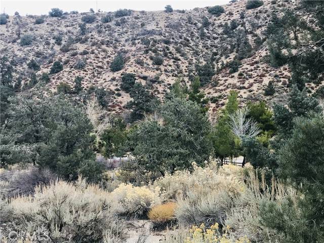 Pinon Hills, CA 92372,0 Sand Canyon