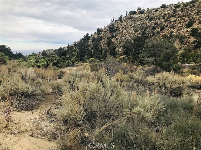 Pinon Hills, CA 92372,0 Sand Canyon