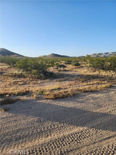 Helendale, CA 92342,1 Cottonwood
