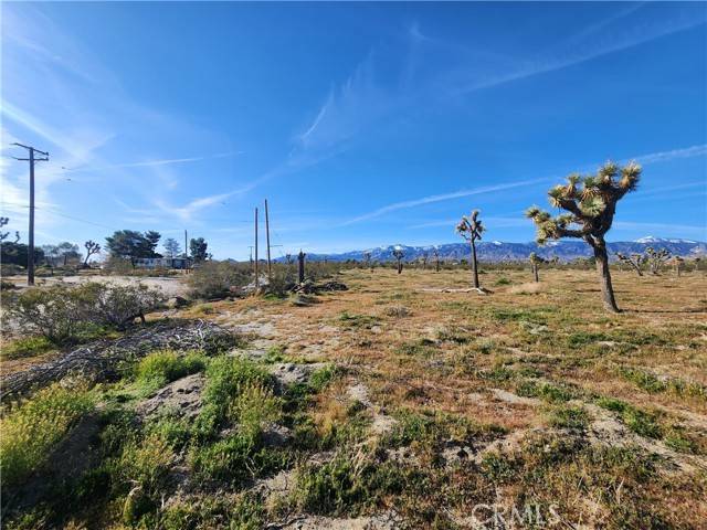 Pinon Hills, CA 92372,0 Marco