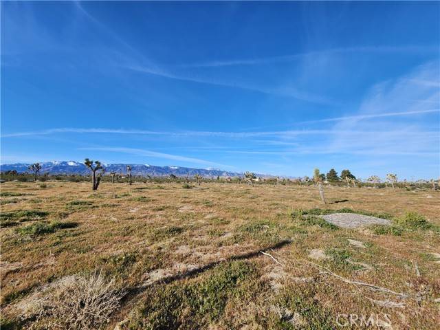 Pinon Hills, CA 92372,0 Marco