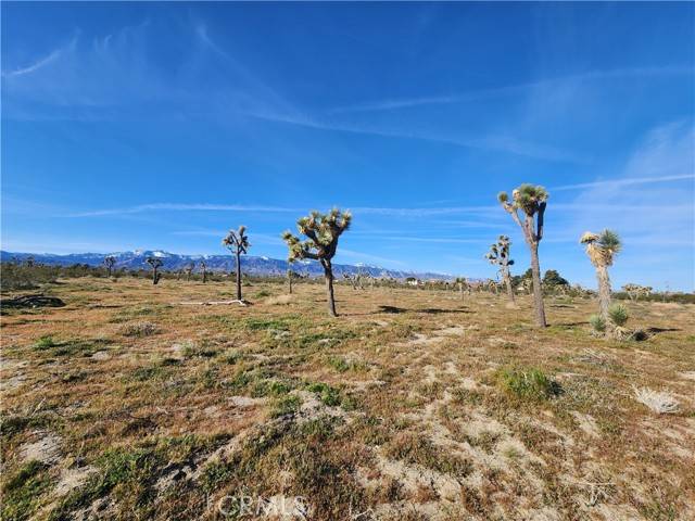 Pinon Hills, CA 92372,0 Marco