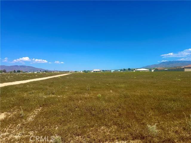 Apple Valley, CA 92308,0 Panoche