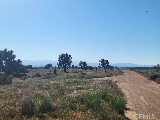 Phelan, CA 92371,0 Vinton