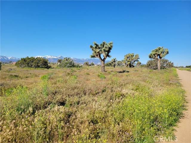 Phelan, CA 92371,0 Vinton