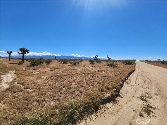 Phelan, CA 92372,0 Mojave