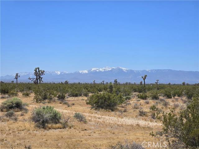 Adelanto, CA 92301,10 Beaver