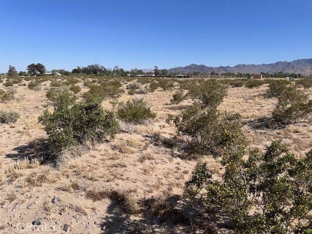 Newberry Springs, CA 92365,0 Manatee