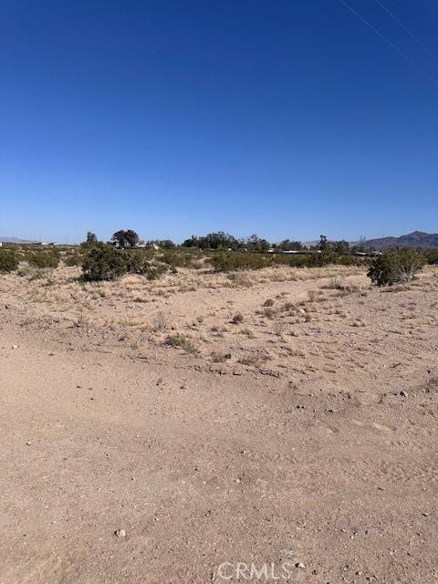 Newberry Springs, CA 92365,0 Manatee