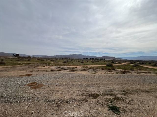 Apple Valley, CA 92307,0 Central