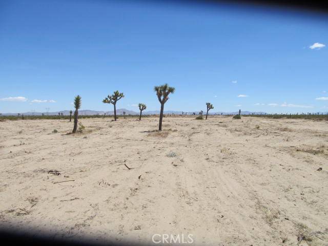 Phelan, CA 92371,0 Wilson Ranch