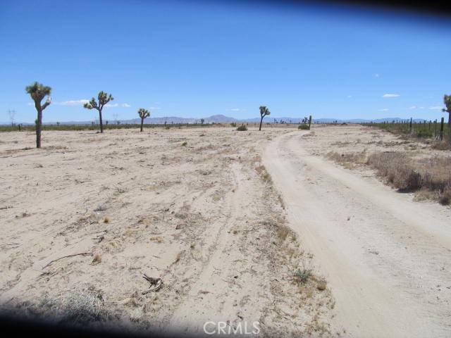 Phelan, CA 92371,0 Wilson Ranch