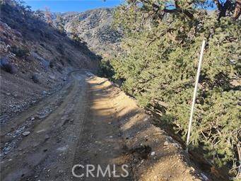 Wrightwood, CA 92397,3036 Scenic