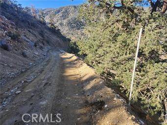 Wrightwood, CA 92397,3036 Scenic