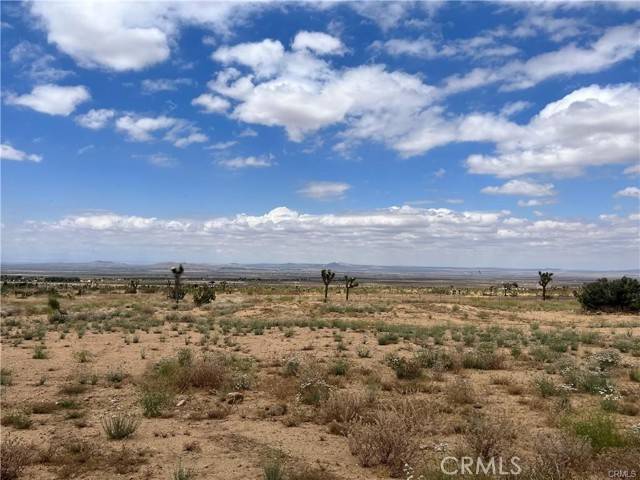 Phelan, CA 92371,0 Joshua Tree Rd