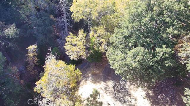 Lake Arrowhead, CA 92352,2 Moon