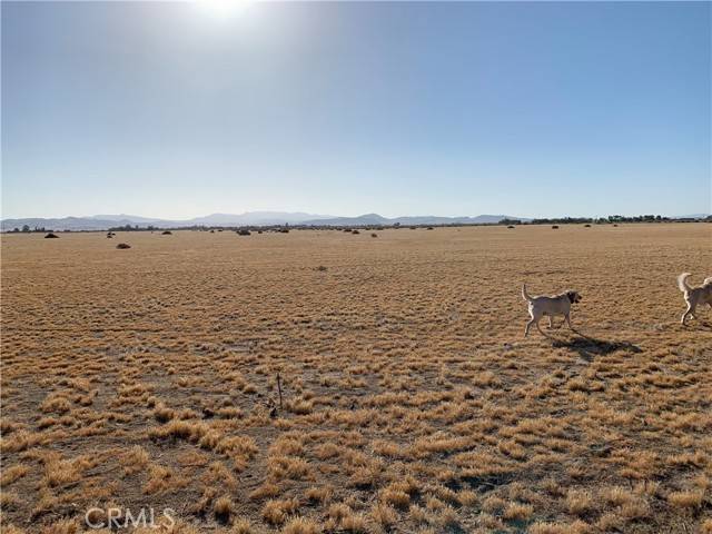 Newberry Springs, CA 92365,47025 Valley Center