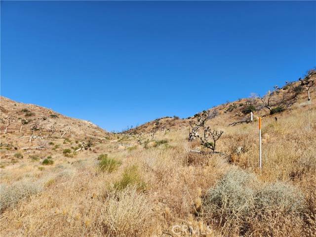 Yucca Valley, CA 92284,5 Near Elk