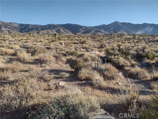 Lucerne Valley, CA 92356,1 Tate