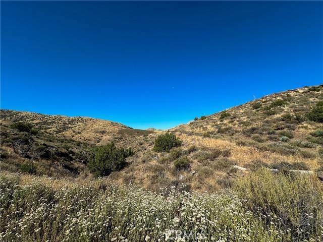 Agua Dulce, CA 91350,0 Big Springs