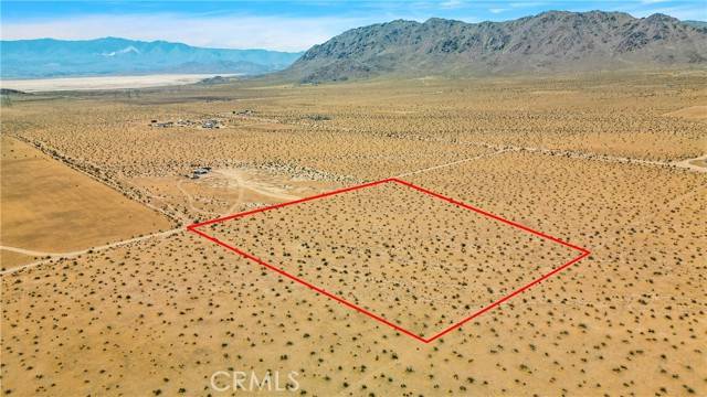 Lucerne Valley, CA 92356,0 Fern