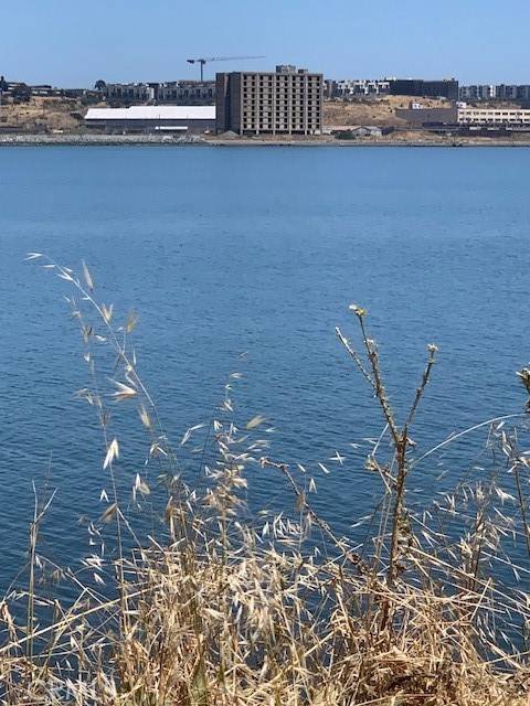 San Francisco, CA 94124,0 Ingerson