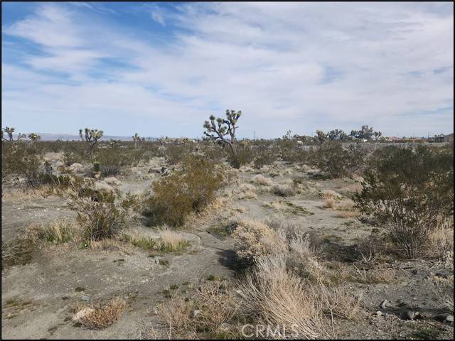 Pinon Hills, CA 92372,0 Duncan