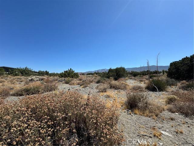 Pinon Hills, CA 92372,0 Acacia