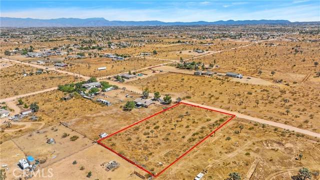 Phelan, CA 92392,0 Greasewood