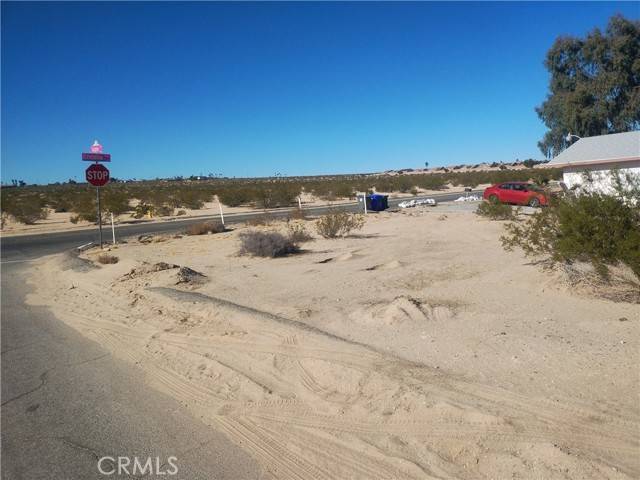 29 Palms, CA 92277,0 Encelia