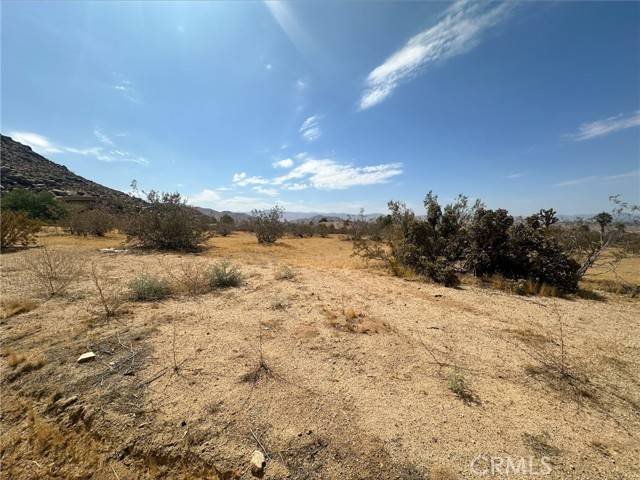 Apple Valley, CA 92307,0 Waalew