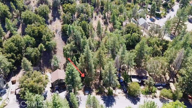 Wrightwood, CA 92397,5462 Heath Creek Dr