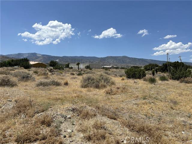 Pinon Hills, CA 92372,4 colfax