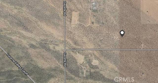 Lucerne Valley, CA 92356,500 Gazelle (near)