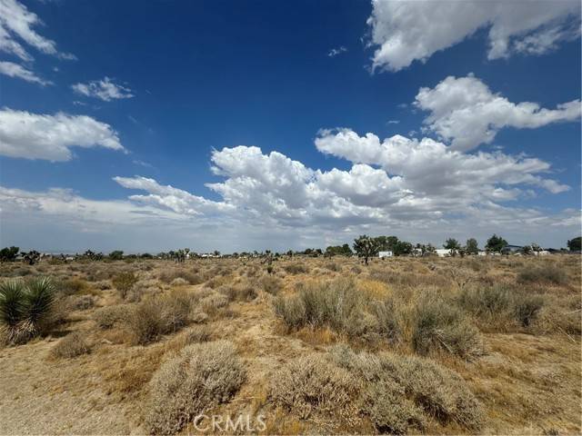 Pinon Hills, CA 92372,0 Desert View