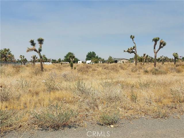 Phelan, CA 92371,0 Mono Parcel #3069-201-13