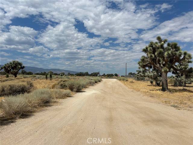 Phelan, CA 92371,0 White Fox Trail