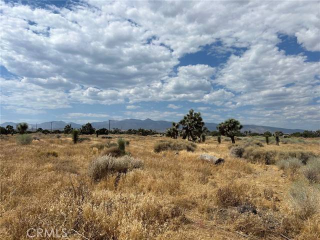 Phelan, CA 92371,0 White Fox Trail