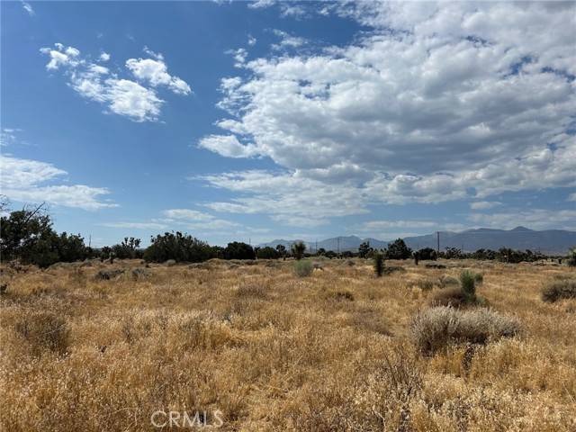 Phelan, CA 92371,0 White Fox Trail