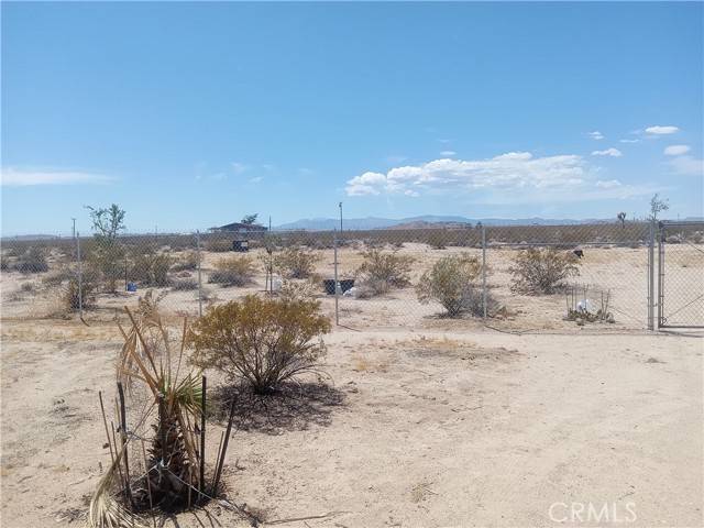 Joshua Tree, CA 92252,1976 Border